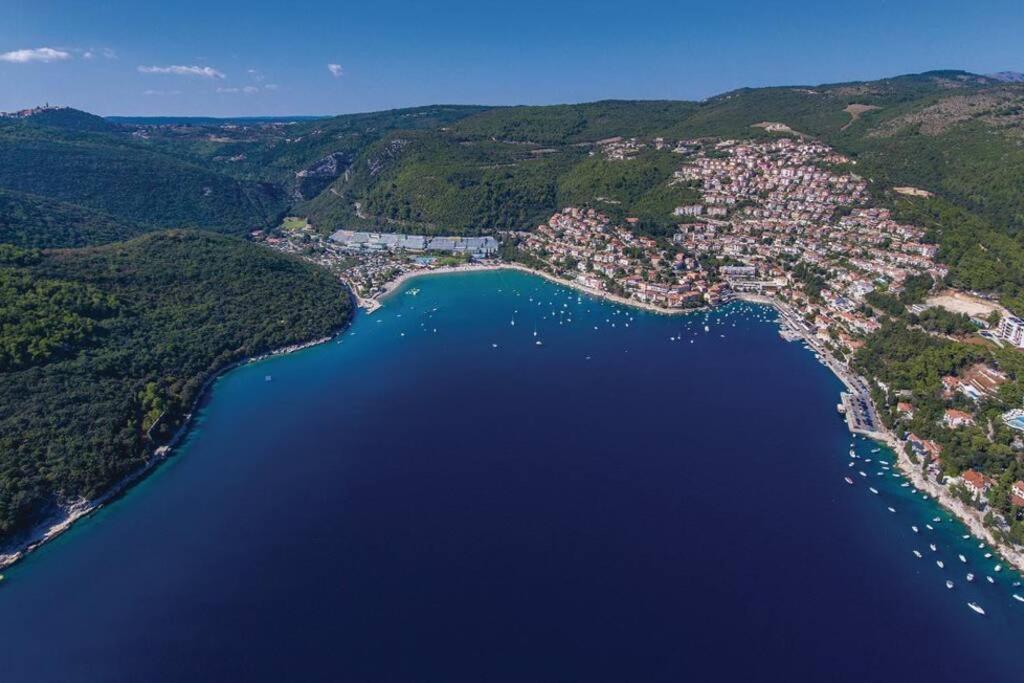 Adorable House Lilla-with Pool-near Old Town Labin Holiday home *